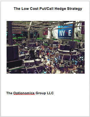 The Low-Cost Put-Call Hedge Strategy Book Cover